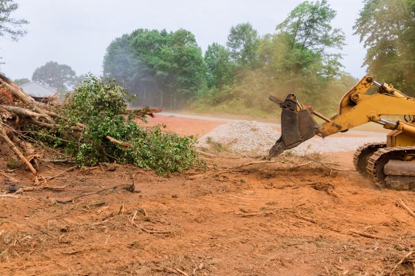 Ground Clearing in Kokomo