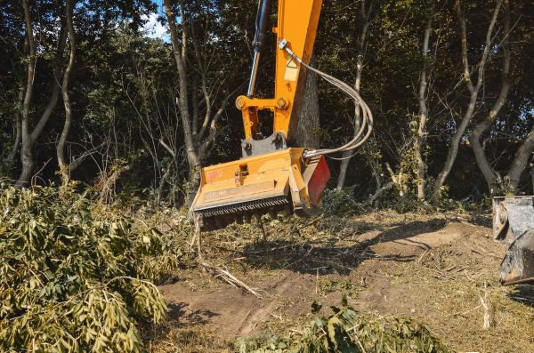 Brush Removal Service in Kokomo