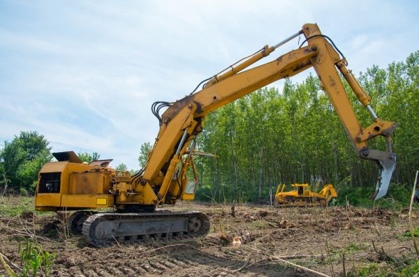 Farm Clearing in Kokomo