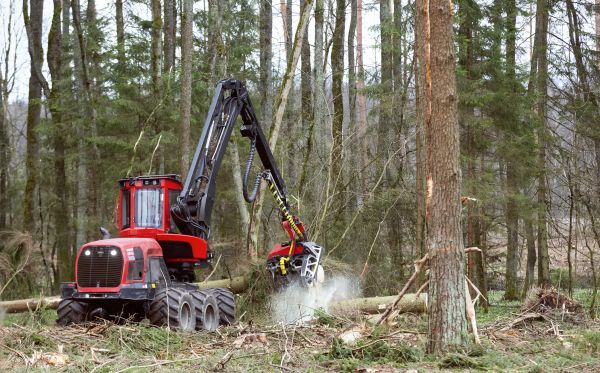 Forest Clearance Service in Kokomo