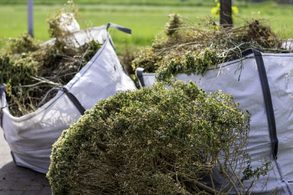 Cost of Bushes Clearing in Kokomo