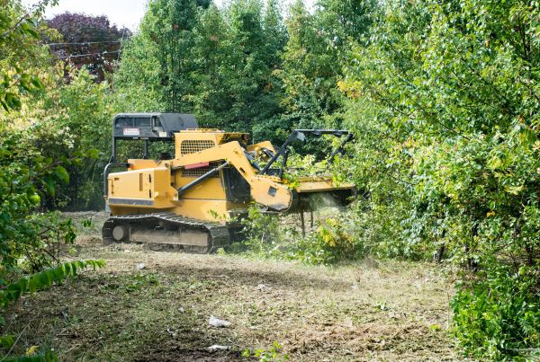 Pathway Clearing in Kokomo