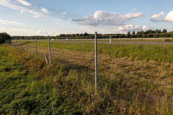 Property Line Clearing in Kokomo
