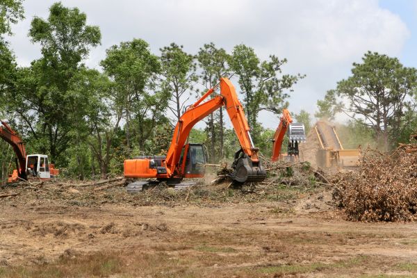 Commercial Lot Clearing in Kokomo