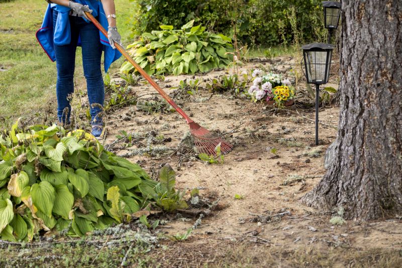 Before Land Clearing